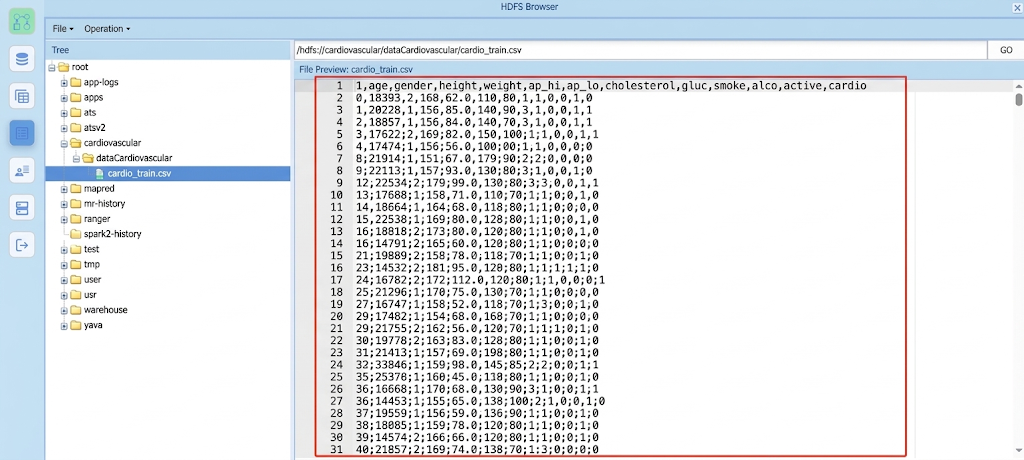 Preview data cardiovascular setelah berhasil di-upload