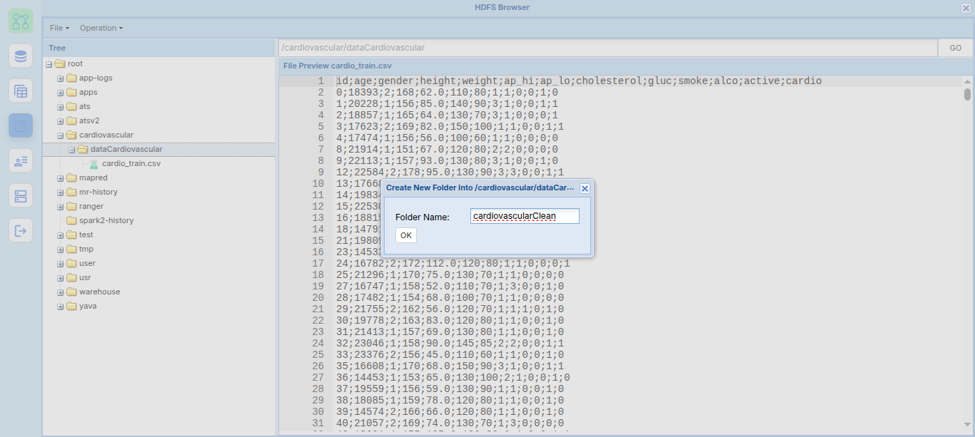 Folder baru cardiovascularClean pada HDFS Browser