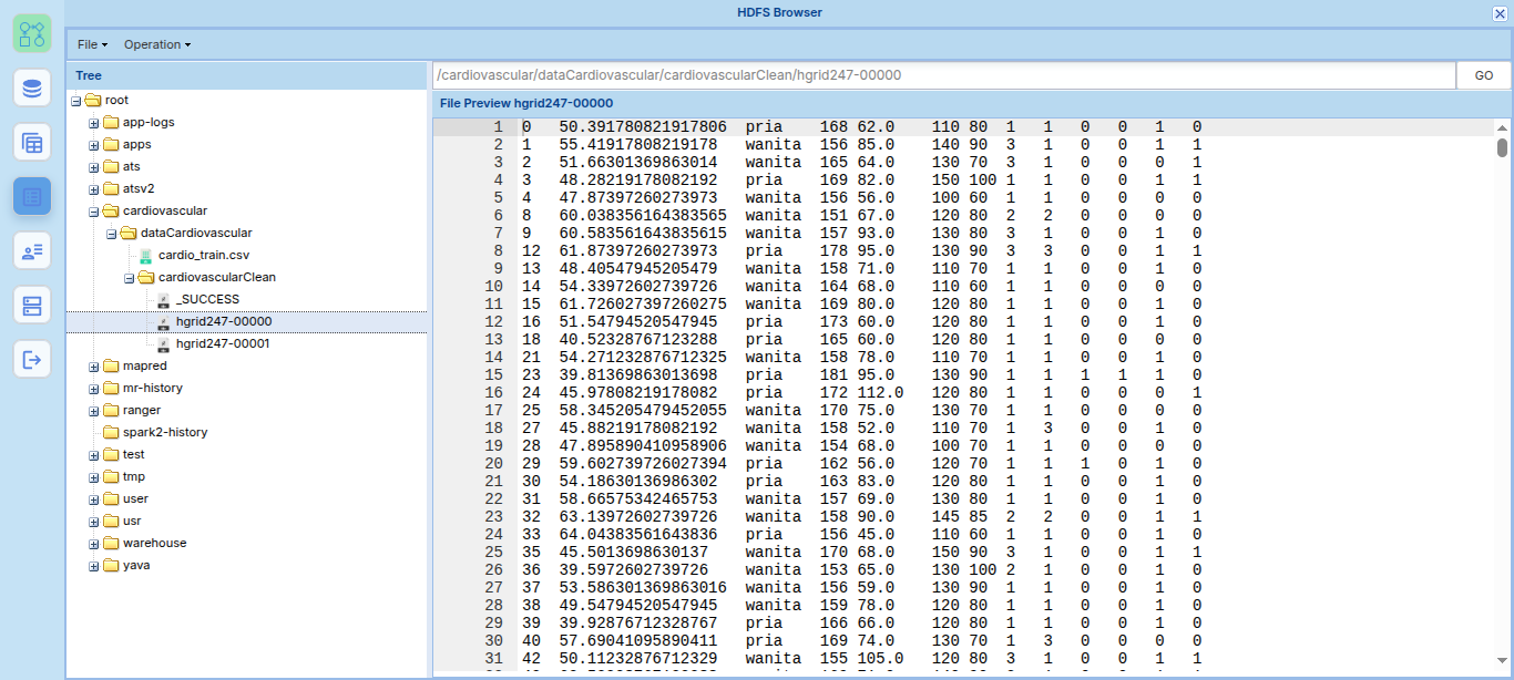 Hasil workflow pada HDFS Browser