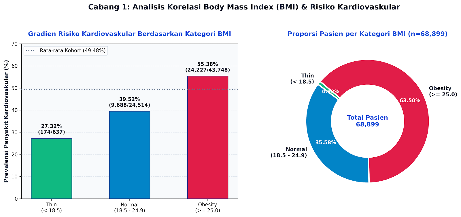 Visualisasi BMI